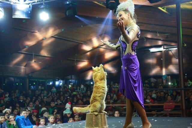 img-20161210-wa0141_resized