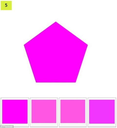 5- الأول من اليسار
