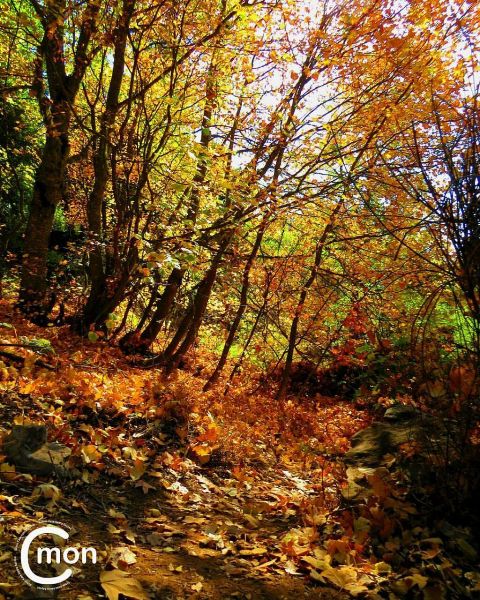 301a4fa9-604f-4814-beba-bc9194b3985d