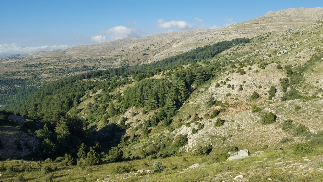 aa326e8d-ba30-462c-afd5-313831ea6239