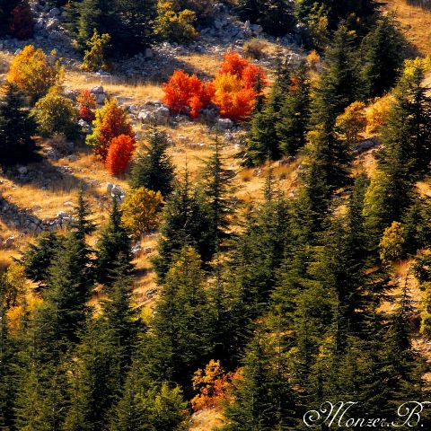 bc020f27-521a-4b50-936b-b870bf6bd2a5