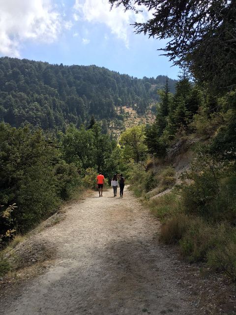 bcef5888-0ba6-4319-bd6b-df23b68e078a