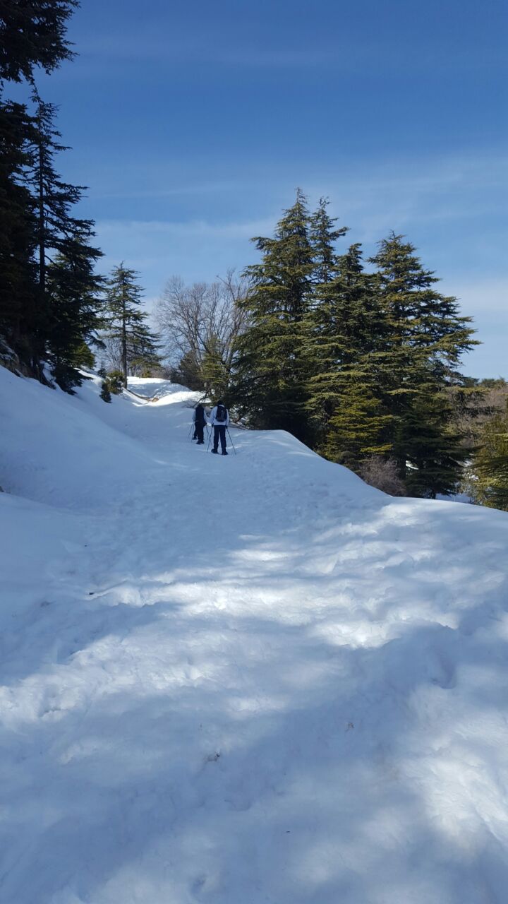 dac582c0-09ea-49c1-a95b-396a9bf682d6