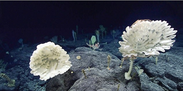 5992b3eed43750e7548b4567