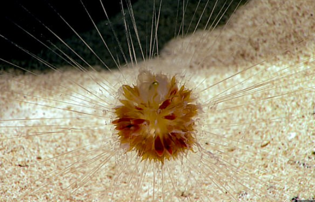 5992b408d43750d6548b4567