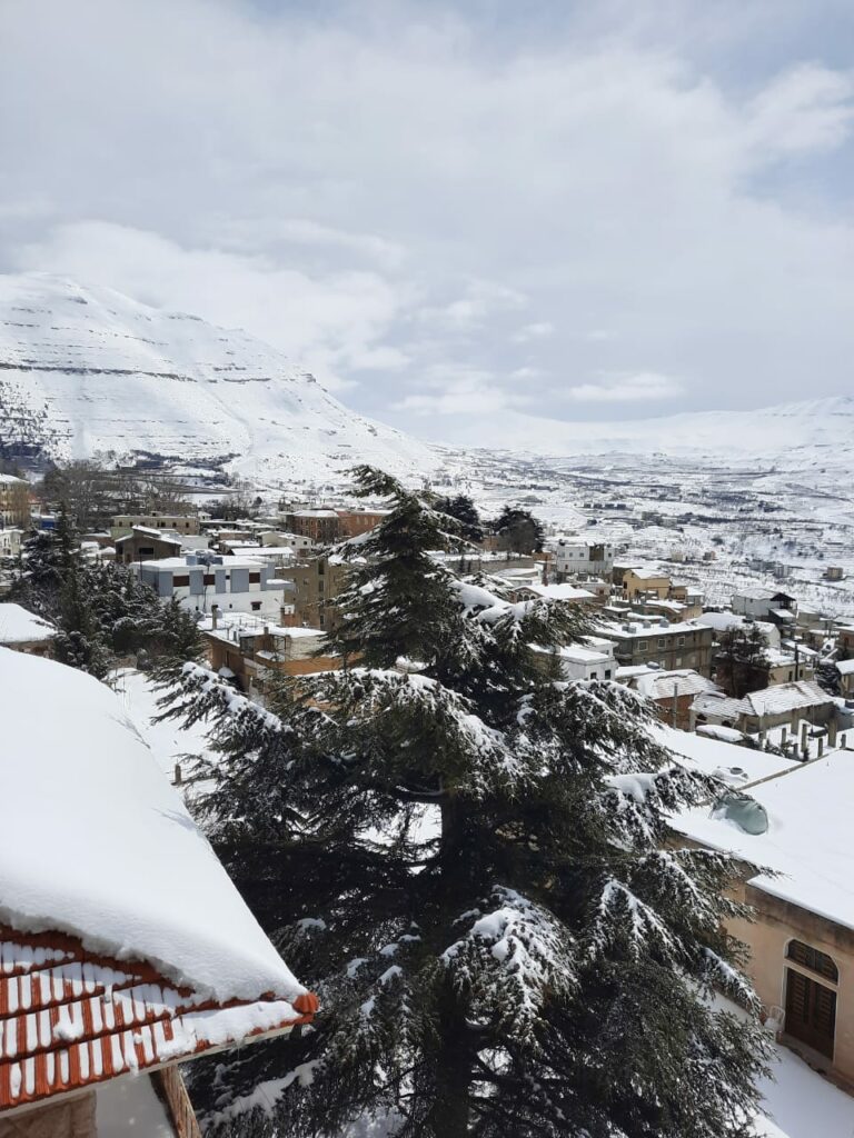 4f8c069a-b928-46a0-9afc-27980b111368