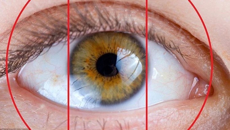 654395d54c59b75cf97c3752