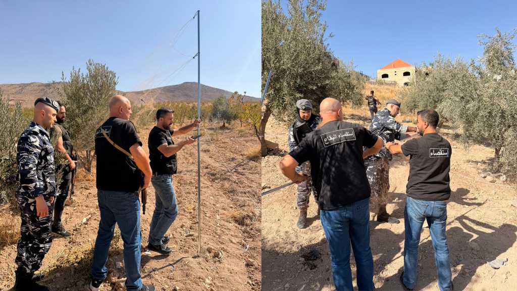 بالصور: إنقاذ آلاف الطيور من شباك الصيد الجائر