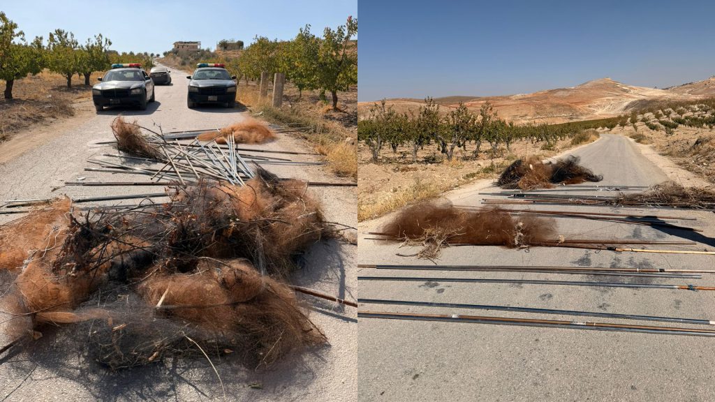 بالصور: إنقاذ آلاف الطيور من شباك الصيد الجائر