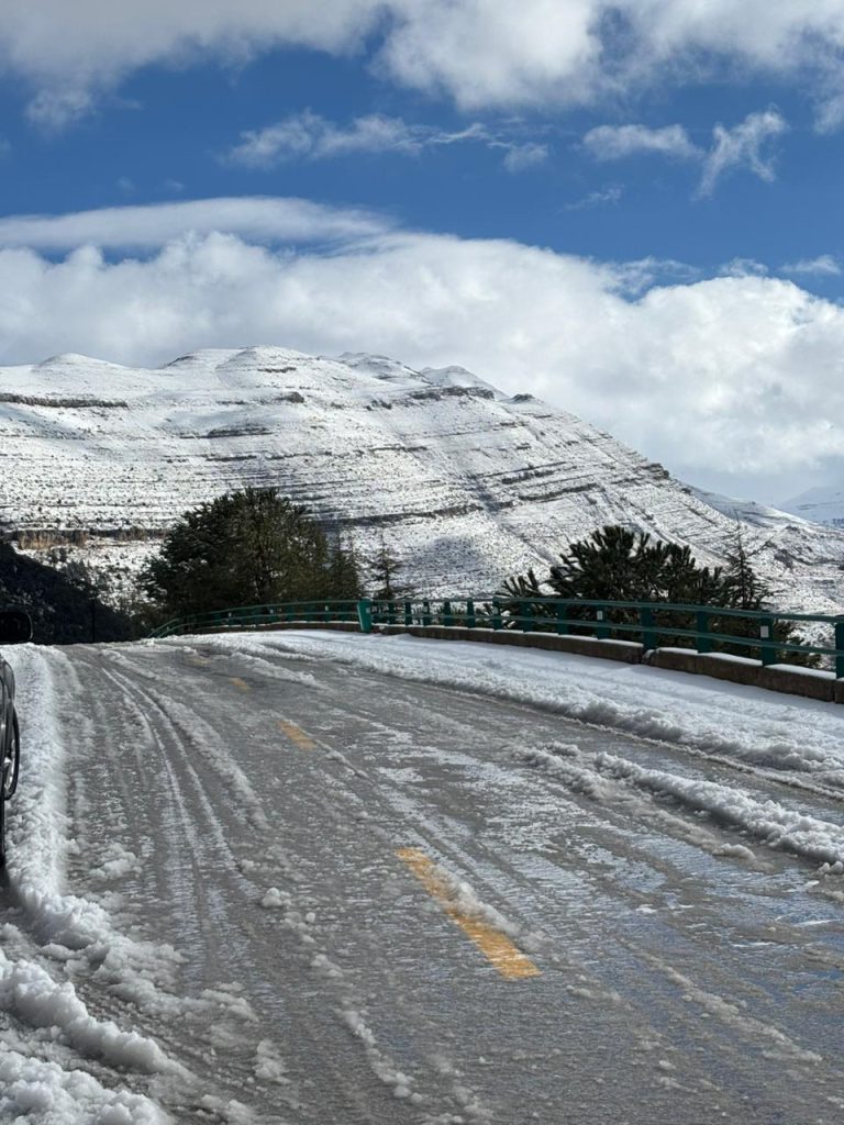 بالصور: بالابيض اهدن عروسة الشتاء